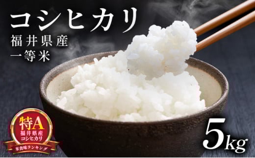 米 福井県産 コシヒカリ 一等米 5kg 【米 福井県産 コシヒカリ 5kg 10kg 一等米 ブランド米 白米 精米 玄米 無洗米 ご飯 ごはん 米 コメ こめ お米 小分け 家庭用 ふるさと納税米 こしひかり】[101-a001]