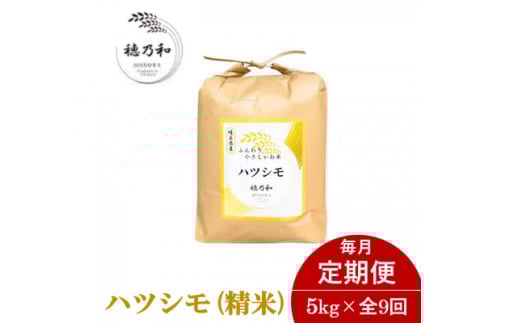 ＜発送月固定定期便＞＜先行予約＞岐阜県産ハツシモ(精米)5kg全9回【4069204】