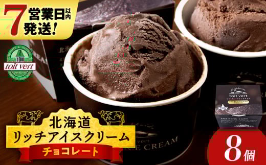 リッチアイスクリーム カカオ香るほどよい甘さのチョコレート 8個セット(100ml)アイス スイーツ おやつ 冷凍 食べ比べ