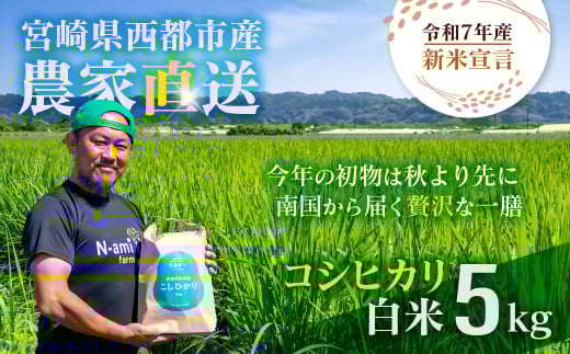 【令和7年産新米・先行予約】こしひかり 5kg ※8月上旬以降順次発送予定 精米済み 新米 こしひかり お米 精米 5キロ 米 ライス こめ おこめ ＜1.3-20＞ 2164222 - 宮崎県西都市