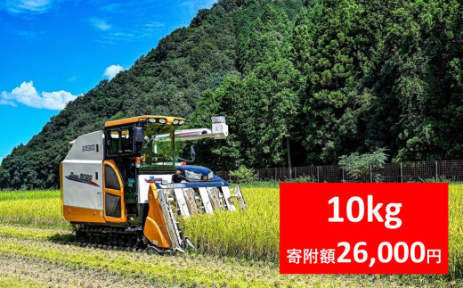 【先行予約】令和7年産 稲場農産 慎ちゃんのお米 コシヒカリ 10kg（5kg×2袋） 令和7年産 先行予約 新米予約 コシヒカリ お米 10kg 安心 安全 良質 美味しい お試し 兵庫県 朝来市 2160896 - 兵庫県朝来市