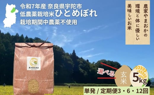[令和7年産・先行予約][選べる!! 単発 / 毎月定期便3・6・12回]ひとめぼれ 玄米 9月末より順次発送 / ふるさと納税 低農薬 米 お米 こめ コメ 国産 新米 玄米 農家やまおか 奈良県 宇陀市