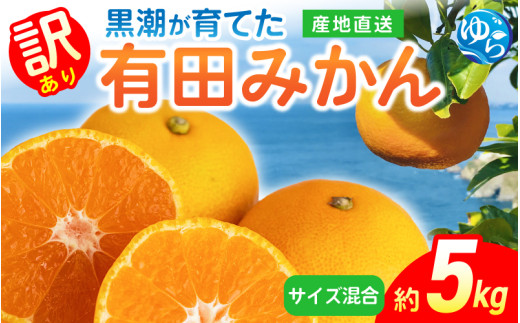 【先行予約】有田みかん（訳あり・サイズ混合）約5kg※2025年11月上旬頃から順次発送予定（お届け時間帯指定可） / 蜜柑 柑橘 ミカン フルーツ 果物 くだもの 食品 人気 おすすめ 産地直送 和歌山県 由良町【ytkn014】 2123052 - 和歌山県由良町