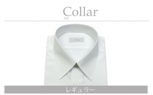【形態安定】ケアも簡単！安心して着れる綿ポリ混紡メンズ用ドレスシャツ「8Lサイズ」衿型レギュラー 1080022