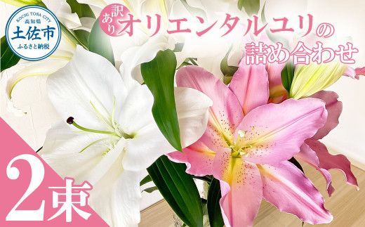 訳あり オリエンタルユリの詰め合わせ 2束(1束4～6本 15輪以上) 花 はな 花束 生花 ゆり 百合 蕾 つぼみ 鑑賞 鑑賞用 白百合 白ゆり 白ユリ 詰め合わせ 国産 家庭用 ご自宅用