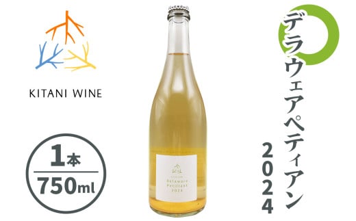 デラウェアペティアン 2024 (750ml×1本)｜ワイン 果実酒 奈良 香芝 [2912]