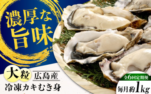 【全6回定期便】牡蠣 冷凍 こだわり大粒牡蠣むき身【瞬間冷凍】 約1kg 牡蠣 かき カキ 大粒 かき 海鮮 和食 海産物 広島県産 江田島市/有限会社マルイチ水産 [XCU015] 牡蠣 生食 冷凍 むき身 殻付き 殻付 殻 かき カキ 生牡蠣 広島牡蠣 オイスター カキフライ 魚介類 魚介 貝類 海鮮 広島県産 国産 産地直送 贈答 ギフト 特産品