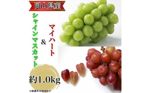 ぶどう 農家こだわりのシャインマスカット＆ハート型のマイハート  合計約1.0kg ブドウ 葡萄 岡山県産 国産 フルーツ 果物 ギフト 【 Nini farm 農家 直送 】[№5735-3310]