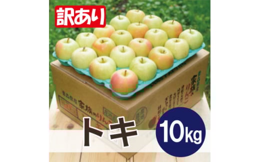 ＜25年10月出荷＞平均糖度12度以上! トキ 約10kg 訳あり【1626500】 2166990 - 青森県黒石市