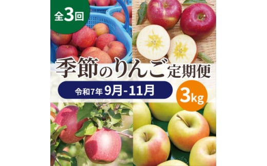 ＜発送月固定定期便＞青森りんご 訳あり 品種おまかせ 3kg 9月～11月全3回【4067590】 2166992 - 青森県黒石市