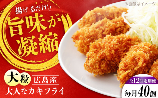 【全12回定期便】牡蠣 冷凍 こだわり大粒の『大人なカキフライ』【瞬間冷凍】40個入り 牡蠣 かき カキ 大粒 かき 海鮮 和食 海産物 広島県産 江田島市/有限会社マルイチ水産 [XCU010] 牡蠣 生食 冷凍 むき身 殻付き 殻付 殻 かき カキ 生牡蠣 広島牡蠣 オイスター カキフライ 魚介類 魚介 貝類 海鮮 広島県産 国産 産地直送 贈答 ギフト 特産品