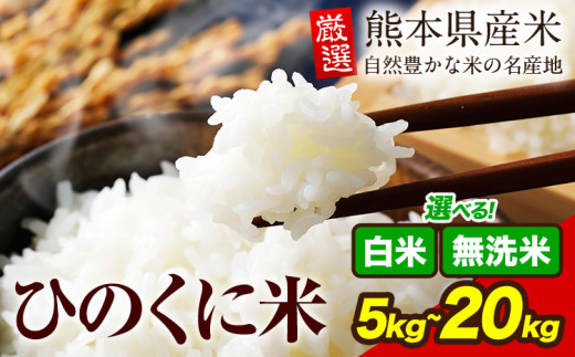 無洗米 白米 ひのくに米 選べる 5kg 10kg 15kg 20kg [7-14日以内に出荷予定(土日祝除く)]食品 米 こめ コメ 熊本県産 ふるさと納税 お米 おこめ 熊本 むせんまい
