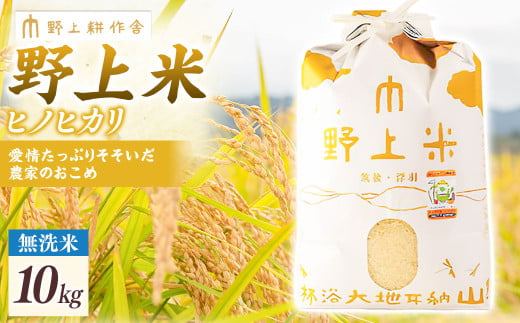 【指定日必須】野上耕作舎 野上米ヒノヒカリ 無洗米10kg ひのひかり 無洗米 米 お米 ご飯 国産 九州産 福岡県 うきは市