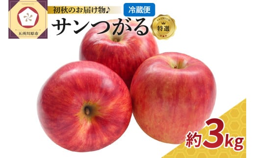 りんご 9月 3kg サンつがる 特選 青森 クール便【2025年】