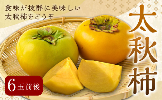 [先行予約] 渡辺農園 太秋柿 6玉前後 [2025年10月中旬から10月下旬 出荷予定] 柿 かき カキ 太秋 たいしゅう 完全甘柿 果物 くだもの フルーツ 果実 ジューシー お取り寄せ 福岡県 うきは市