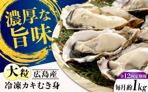 【全12回定期便】牡蠣 冷凍 こだわり大粒牡蠣むき身【瞬間冷凍】 約1kg 牡蠣 かき カキ 大粒 かき 海鮮 和食 海産物 広島県産 江田島市/有限会社マルイチ水産 [XCU016] 牡蠣 生食 冷凍 むき身 殻付き 殻付 殻 かき カキ 生牡蠣 広島牡蠣 オイスター カキフライ 魚介類 魚介 貝類 海鮮 広島県産 国産 産地直送 贈答 ギフト 特産品