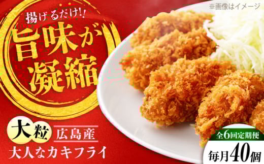 【全6回定期便】牡蠣 冷凍 こだわり大粒の『大人なカキフライ』【瞬間冷凍】40個入り 牡蠣 かき カキ 大粒 かき 海鮮 和食 海産物 広島県産 江田島市/有限会社マルイチ水産 [XCU009] 牡蠣 生食 冷凍 むき身 殻付き 殻付 殻 かき カキ 生牡蠣 広島牡蠣 オイスター カキフライ 魚介類 魚介 貝類 海鮮 広島県産 国産 産地直送 贈答 ギフト 特産品