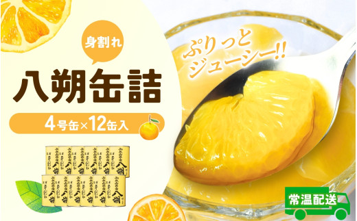 和歌山県産八朔缶詰(身割れ) 約425g×12缶セット[入金確定後より7営業日以内に発送予定]/ 八朔 缶詰 はっさく フルーツ缶 八朔缶 シロップ漬け シロップ缶[KF7]