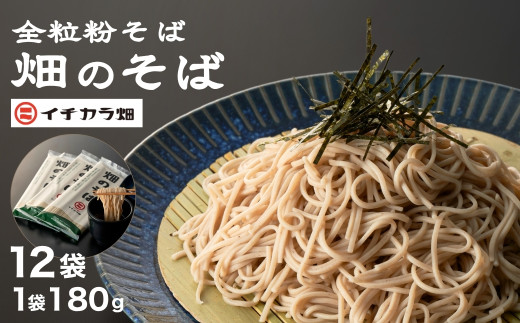 [安心の有機JAS認証]全粒粉そば乾麺 「畑のそば」180g×12個セット オーガニック 無農薬栽培 イチカラ畑 [0021-0001-01]