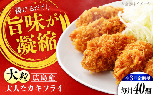 【全3回定期便】牡蠣 冷凍 こだわり大粒の『大人なカキフライ』【瞬間冷凍】40個入り 牡蠣 かき カキ 大粒 かき 海鮮 和食 海産物 広島県産 江田島市/有限会社マルイチ水産 [XCU008] 牡蠣 生食 冷凍 むき身 殻付き 殻付 殻 かき カキ 生牡蠣 広島牡蠣 オイスター カキフライ 魚介類 魚介 貝類 海鮮 広島県産 国産 産地直送 贈答 ギフト 特産品