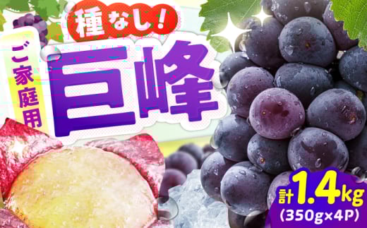 【★先行予約★ 2025年7月下旬より発送】【ご家庭用】種無し巨峰　約350g×4パック　広川町 / JAふくおか八女農産物直売所どろや [AFAB086]