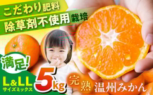 【先行予約】温州みかん　Lサイズ＆LLサイズ 5kg　　【志村農園】 [AKGH008]