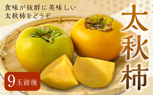 【先行予約】 渡辺農園 太秋柿 9玉前後 【2025年10月中旬から10月下旬 出荷予定】 柿 かき カキ 太秋 たいしゅう 完全甘柿 果物 くだもの フルーツ 果実 ジューシー お取り寄せ 福岡県 うきは市 1611016 - 福岡県うきは市