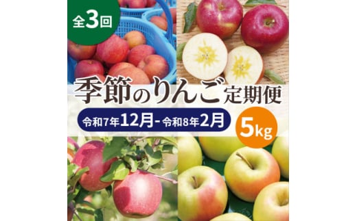 ＜発送月固定定期便＞青森りんご 訳あり 品種おまかせ 5kg 12月～2月全3回【4067594】