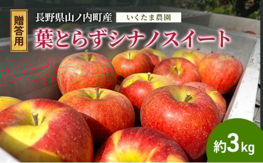 【贈答用】葉とらずシナノスイート 約3kg リンゴ りんご フルーツ 果物 お取り寄せ 長野県 山ノ内町
