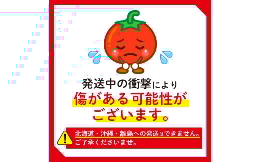 アイテムID:362034の画像6枚目