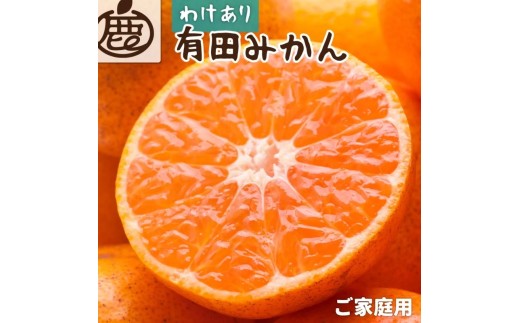 【先行予約】家庭用 有田みかん サイズ混合(2S～2L) 10kg+250g  ※11月より発送(完熟)【わけあり・訳あり】【光センサー選果】※北海道・沖縄・離島配送不可 / みかん ミカン 和歌山 柑橘 フルーツ 有田 有田みかん 【ikd175A】 1416059 - 和歌山県太地町