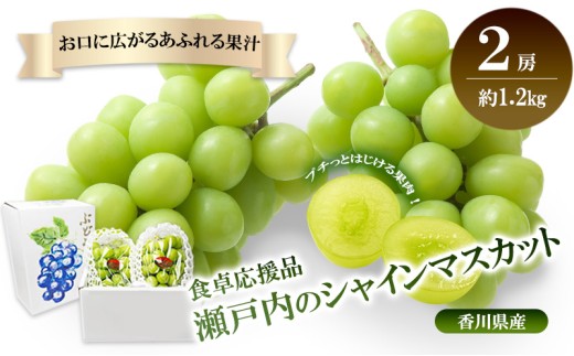 [№4631-2694]瀬戸内のシャインマスカット　2房（約1.2kg）