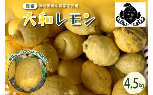 【2025年10月中旬～発送】栽培期間中農薬不使用　大和レモン 4.5kg ku044-013-25