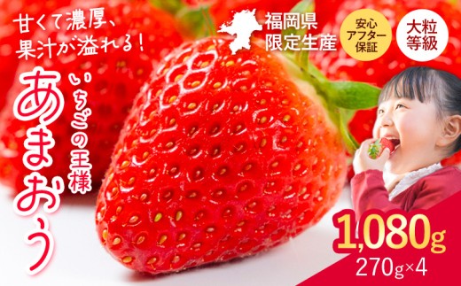 ★2026年出荷分★【先行予約】いちご あまおう 大容量産あまおう 1080g 【着日指定不可】《2月中旬-4月末頃出荷》 イチゴ　苺 1172238 - 福岡県鞍手町