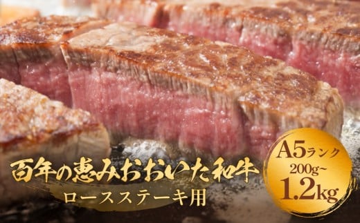 「百年の恵み おおいた和牛 」A5 ロースステーキ用 (200g×1枚- 4枚)or (300g×2枚- 4枚)おおいた和牛 ロースステーキ A5等級 黒毛和牛 大分県産 牛肉 高級肉 霜降り 和牛ステーキ 風味豊か 脂質 種雄牛 血統 高評価 冷凍