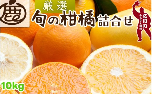 柑橘 詰合せ 10kg+250g（痛み補償分） 厳選 光センサー / 高級 みかん 不知火 清見 八朔 伊予間 セミノール レモン ３種類以上 詰め合わせ 晩柑 ※1月上旬～6月上旬頃に順次発送 ※北海道・沖縄・離島への配送不可 【ikd049-p-10A】 2170139 - 和歌山県広川町