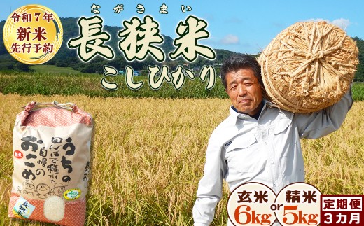 《令和７年産 新米 先行予約》田代農園の定期便『長狭米コシヒカリ（一等米）』【玄米６kg】×３カ月　[0045-0005] 396874 - 千葉県鴨川市