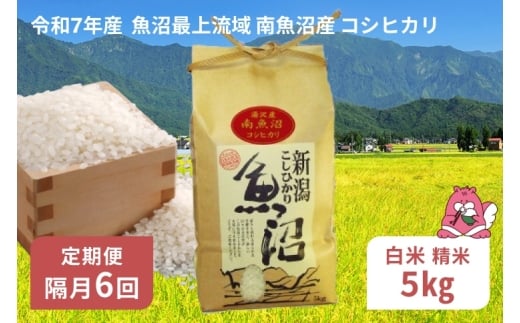 令和7年産 5kg 【隔月6回定期便】〈白米〉 精米したてのお米を2か月に1回お届け 魚沼最上流域 南魚沼産 コシヒカリ【湯沢産 コシヒカリ】