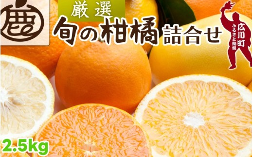 柑橘 詰合せ 2.5kg+250g（痛み補償分） 厳選 光センサー / 高級 みかん 不知火 清見 八朔 伊予間 セミノール レモン ３種類以上 詰め合わせ 晩柑 ※1月上旬～6月上旬頃に順次発送 ※北海道・沖縄・離島への配送不可 【ikd049-p-2d5A】 2170142 - 和歌山県広川町