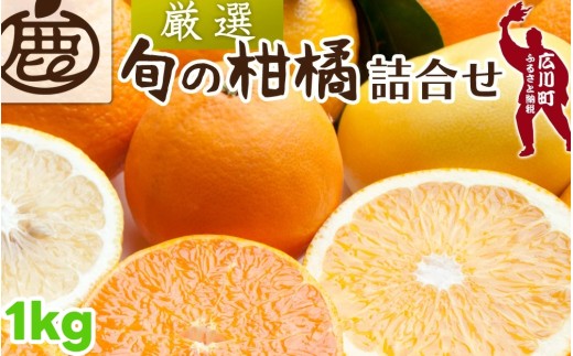 柑橘 詰合せ 1kg+250g（痛み補償分） 厳選 光センサー / 高級 みかん 不知火 清見 八朔 伊予間 セミノール レモン ３種類以上 詰め合わせ 晩柑 ※1月上旬～6月上旬頃に順次発送 ※北海道・沖縄・離島への配送不可 【ikd049-p-1A】 2170116 - 和歌山県広川町