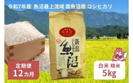 令和7年産 5kg 【12か月定期便】〈白米〉 魚沼最上流域 南魚沼産 コシヒカリ 精米したてのお米をお届け 【湯沢産 コシヒカリ】