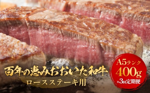 「百年の恵み おおいた和牛 」A5 ロースステーキ用 200g × 2枚 × 3ヶ月 定期便 おおいた和牛 ロースステーキ A5等級 黒毛和牛 大分県産 牛肉 高級肉 霜降り 和牛ステーキ 風味豊か 脂質 種雄牛 血統 高評価 冷凍 2158383 - 大分県玖珠町