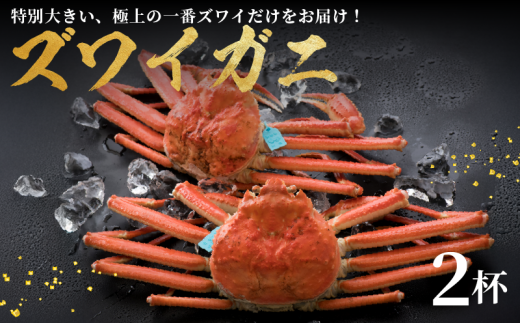 [ 先行予約 ][ 数量限定 ][ 11〜12月 発送 ] 冷蔵 配送 ズワイガニ 2杯 計 約 2kg ( 1杯あたり 活1.3kg以上 ➞ 茹上げ 約 1.0kg ) 味覚の王様 加能ガニ 一番ズワイガニ 2匹 かに 蟹 カニ 姫丸 こだわり 日本海 ボイル かにみそ 極上 年末 年内お届け お歳暮 年末年始 正月 ずわいがに まるごと 茹で 冬 ギフト 贈答用 送料無料 能登 石川県 羽咋