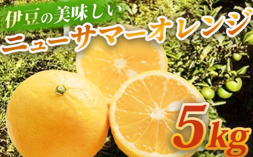 （先行予約・限定3０セット・4月～５月発送）ニューサマーオレンジ（5kg）【静岡県 伊豆市 果物  柑橘類 】010-012 215180 - 静岡県伊豆市