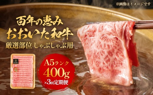「百年の恵み おおいた和牛 」しゃぶしゃぶ用 400g × 3ヶ月 定期便 おおいた和牛 黒毛和牛 A5 等級 しゃぶしゃぶ用 牛肉 ロース 肩ロース もも 肩 部位 霜降り 血統 風味 脂肪 産地 九州 大分 肉 食材 グルメ 豊後牛 2158388 - 大分県玖珠町