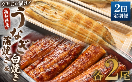 国産 うなぎ 定期便 2回 うなぎ蒲焼き&白焼き120g 2尾(無頭) 交互にお届け 魚介 国産 海鮮 魚 かばやき 鰻 ウナギ 惣菜 おかず お手軽 しらやき 加工品 加工食品 冷凍 Wun-0047 1905914 - 高知県香南市