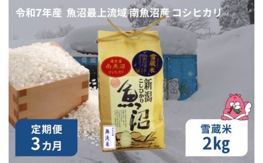 令和7年産 5kg 【3か月定期便】  雪蔵貯蔵米〈無洗米〉魚沼最上流域 南魚沼産 コシヒカリ 精米したてのお米をお届け 【湯沢産 コシヒカリ】