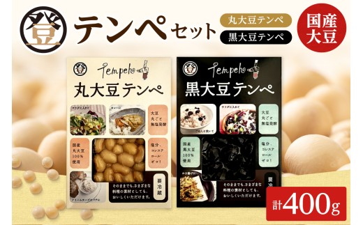 登喜和食品のテンペセット 高たんぱく 食物繊維 豊富 発酵食品 健康志向 のあなたへ_S044-0004 2232760 - 北海道清水町