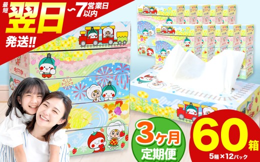 最短翌日発送 人気急上昇 高評価 ティッシュ BOX  【 定期便3回 】5箱 × 12パック  |  限定 最大 真岡市 オリジナル 300枚 150組 5箱 10箱 30箱 60箱 定期便 便利 日用品 雑貨 必需品 紙 柔らかい なめらか 蒸気機関車 SL 栃木県 真岡市 PR 災害 備蓄 大容量 2060484 - 栃木県真岡市