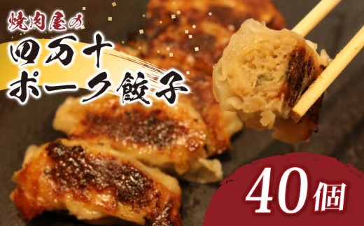 ヤマジュウの特選！四万十ポーク手作り餃子４０個